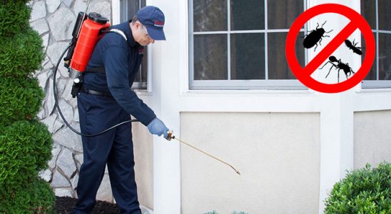 Muğla Tahtakurusu İlaçlama böcek ilaçlama ve haşere kontrolü — ilaclama-tr.com